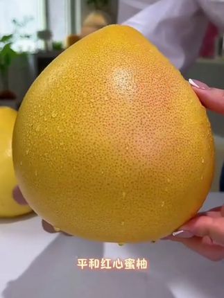 【红心柚】T福建红心蜜柚新鲜采摘皮薄鲜甜多汁4.5斤/8.5 #好物推荐🔥