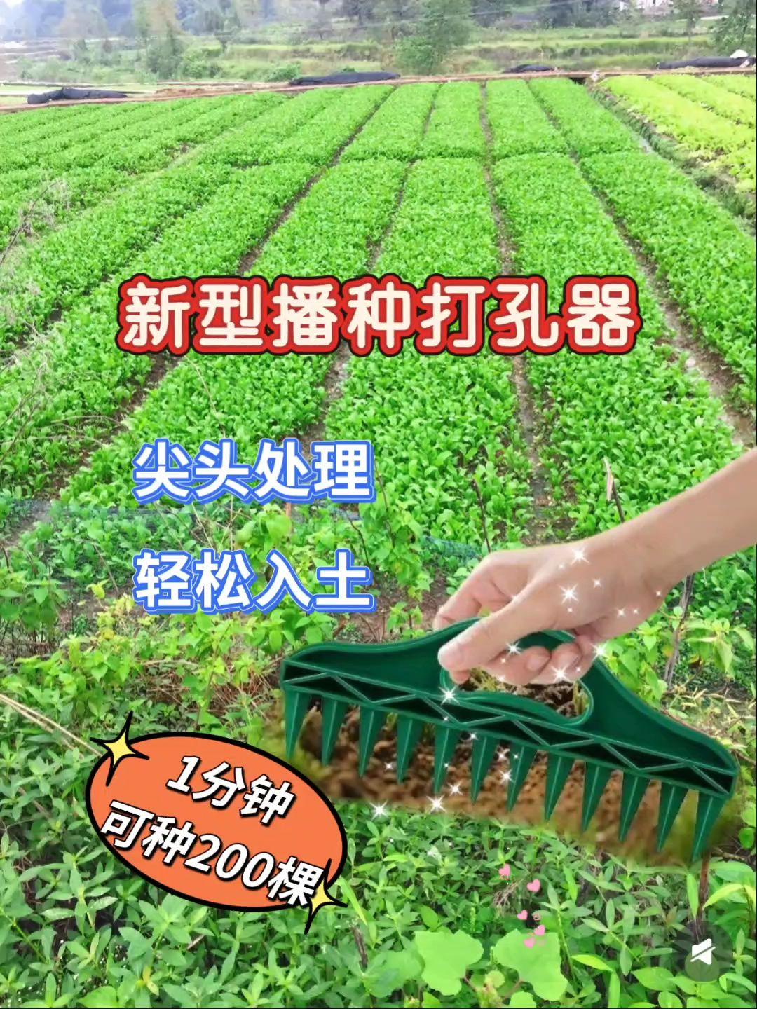新型土壤播种打孔器。新品种草!打孔神器太好用 最近入手了这款土壤播种打孔神器,种菜种花真的方便多了。打孔速度快,松土也轻松,新手也能上手#种菜神器 #园艺工具#播种好物#家庭种菜 #三农