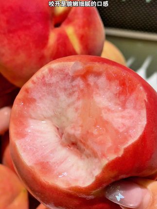这是我今年吃过最好吃口感最好的桃子了!!!脆甜多汁,一口下去感觉在嘴巴里榨汁!!桃味浓郁!!#吃桃子的季节 #吃桃子 #应季水果 #脆甜多汁 #水蜜桃