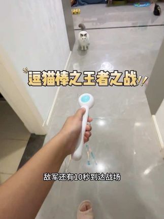 战斗吧,小猫咪!#王者荣耀 #逗猫棒 #猫咪玩具 #宠有引力 #引力弹弹逗猫棒
