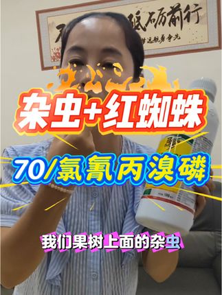 70/瓶氯氰丙溴磷,杂虫+红蜘蛛一锅端!#抗性红蜘蛛 #柑橘虫害 #柑橘种植 #好物推荐 #分享爱用物
