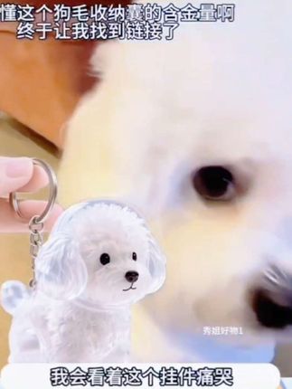 治愈我的从来不是时间,#萌犬 而是小狗真诚热烈的爱,这么有意义的挂件,一定要和小狗一起做一个呀#挂件 #狗毛挂件#狗狗