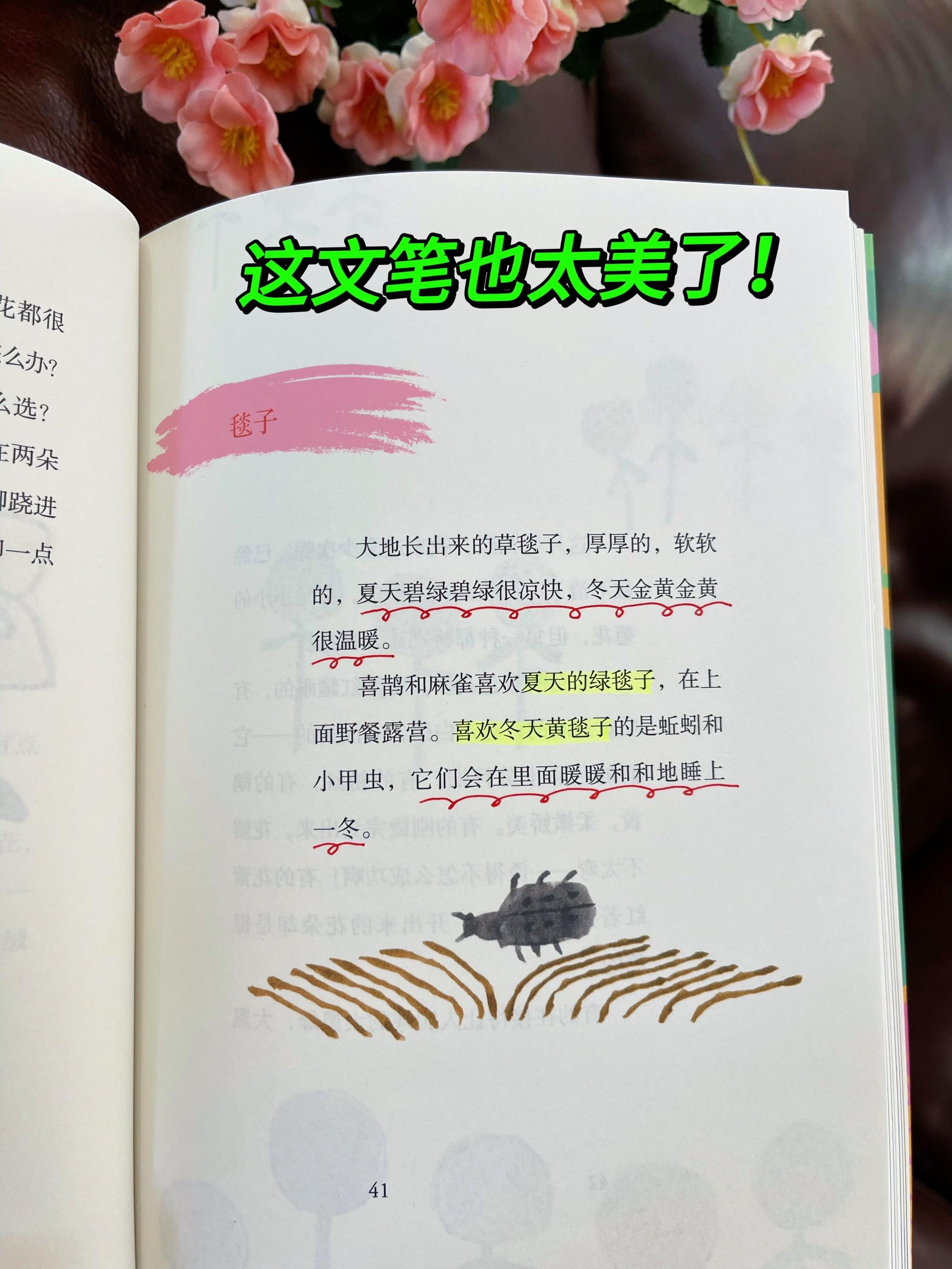 文笔太绝了,不愧是清华附中推荐的作文书。语文老师强烈建议🔥这套让无数孩子作文开窍的《万物的童话》!作者是冰心奖、国家图书奖得主肖定丽老师,而且还是中国新闻出版广电总局重磅推荐的! 作者用225篇灵动的范文,唤醒孩子的观察力和想象力!强烈安利给写作干巴巴的孩子!#写作技巧 #作文素材 #高分作文 #好书分享#语文