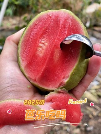 芭乐吃吗#农村生活 #农业种植 #农业 #水果 #芭乐