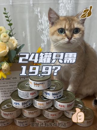 #萌宠好物 #新手养猫 #猫罐头 #好物推荐 #无限回购的宝藏单品 不介意有小磕碰的这个羊毛一定别错过,19.9到手24罐主食罐头