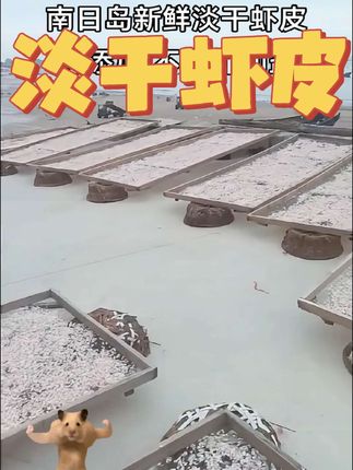 这是我特意挑选给孩子吃的,淡干不加盐,生晒虾皮,辅食,煲汤,煮面,小孩都爱吃。#虾皮 #淡干虾皮 #生晒虾皮 #优质农产品 #南日岛