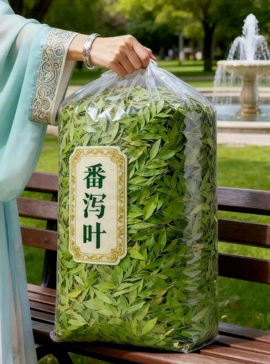番泻叶。#强烈推荐 #上热搜 #召唤茶友 #爱喝茶的关注我 #番泻叶茶