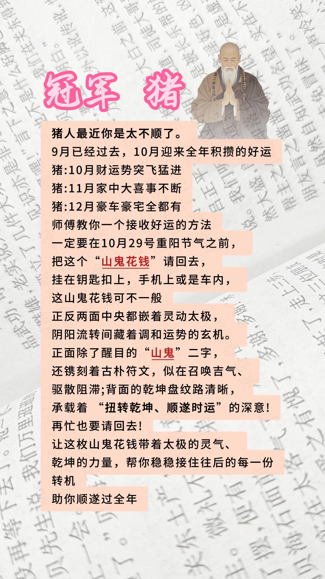 #猪#属猪#生肖猪