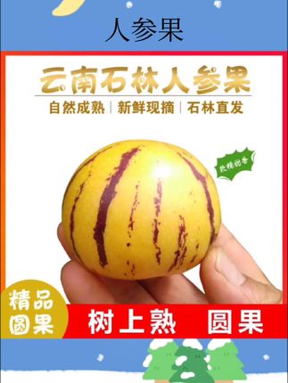 人参果#人参果 #新鲜水果产地直发 #新鲜应季水果 #现摘现发 #好物推荐🔥