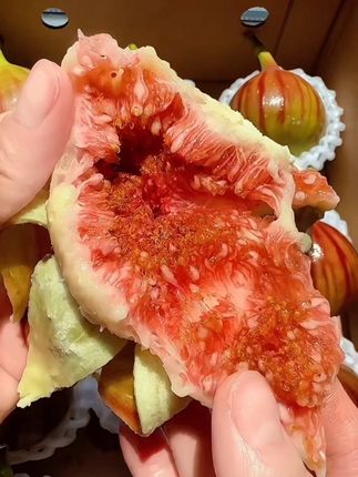 无花果! 【无花果】#上热门 一年一季的无花果,超级爱吃无花果,入口软软糯糯的,自带一股无花果的清香,一口一个太上头了!#无花果#波姬红#无花果自由#新鲜无花果