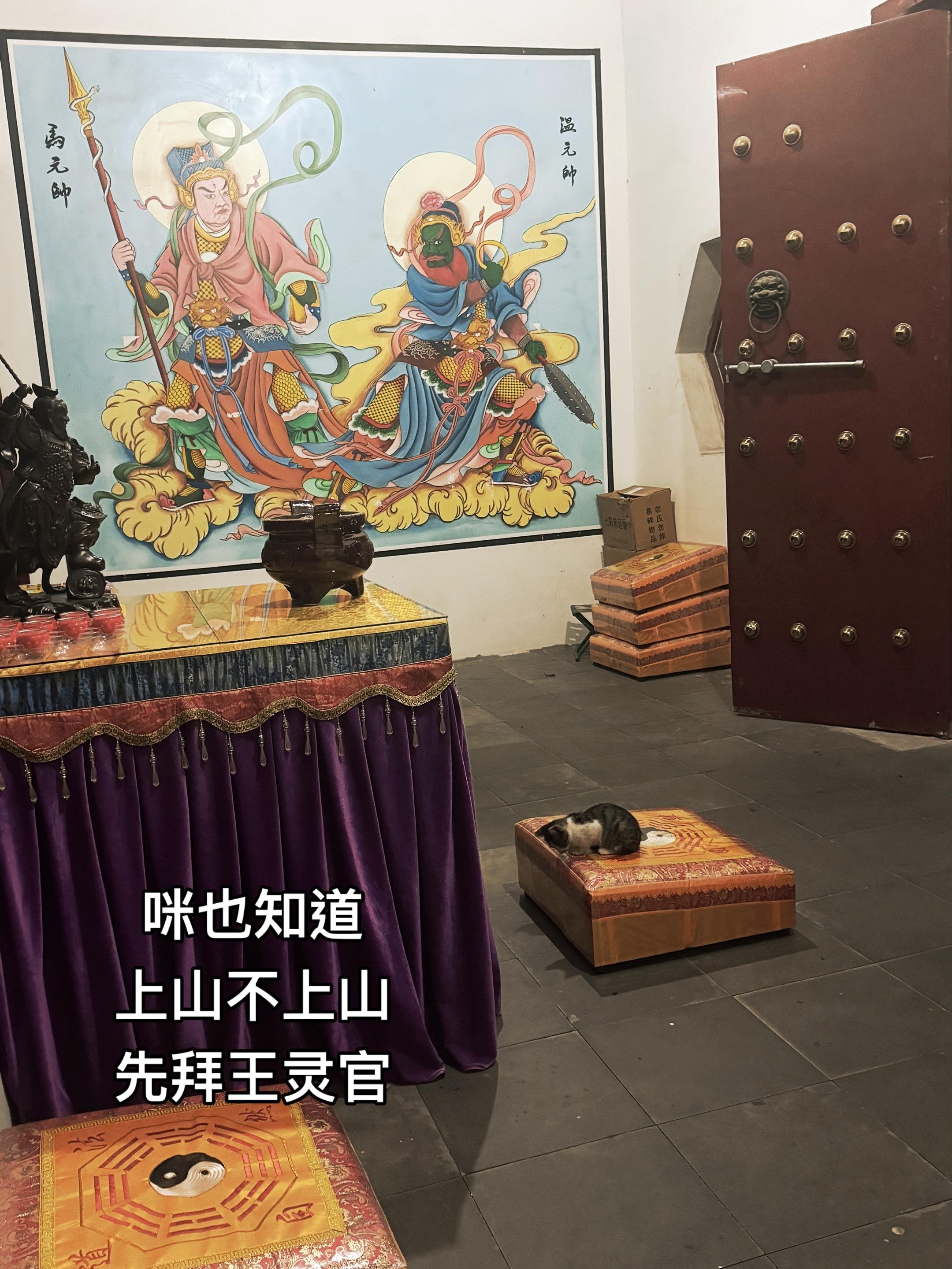 咪也想有三分修持吧。#王灵官 #灵官手印 #上山不上山先拜王灵官 #道家文化