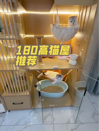 #养猫新手 #新手养猫指南 #新手养猫需要准备哪些用品