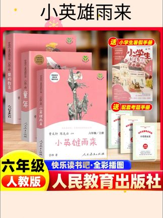 六年级上册快乐读书吧必读课外书人教版童年爱的教育小英雄雨来六年级下册汤姆索亚历险记尼尔斯骑鹅旅行记鲁宾逊漂流记爱丽丝漫游#小英雄雨来#课外书#六年级下册#好物推荐🔥 #好物分享