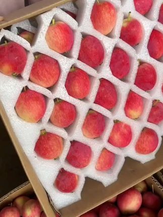 #东北沙果海棠果酸甜#