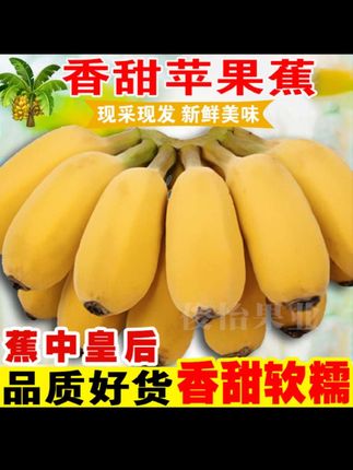 俊怡香甜苹果蕉广西产地直销9斤5斤应季新鲜水果西贡粉蕉香蕉批发#苹果蕉 #香蕉