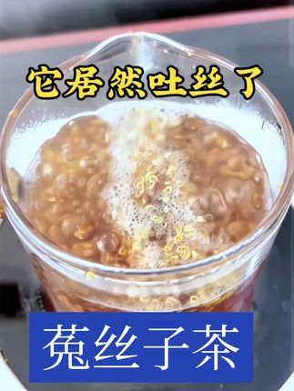 菟丝子你买对了吗,菟丝子茶开花了吗#菟丝子 #养生茶 #营养丰富 #养生就是养健康 #健康茶饮