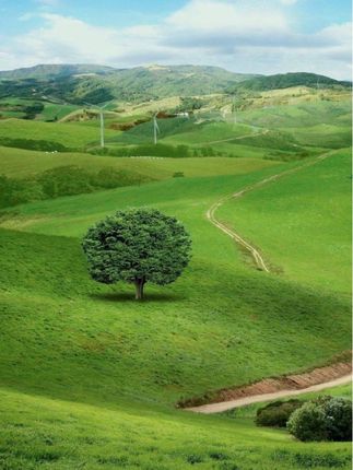 即插即用无线门铃,让敲门声成为过去式 #居家好物 #无线门铃 #居家必备 #老人呼叫器