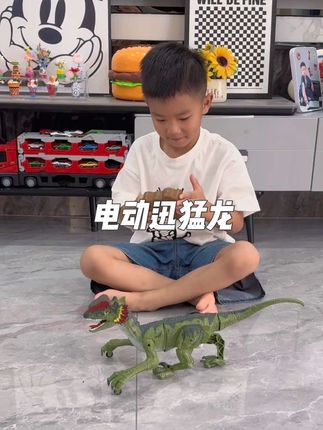给孩子安排这个大电动#遥控迅猛龙,超强动力有劲,可爬坡可前行后退转弯,还可以加水喷雾,小朋友简直太喜欢了#电动遥控迅猛龙#儿童玩具 #恐龙