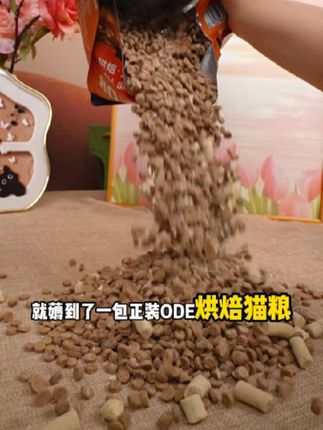 高鲜肉烘焙猫粮,挑食怪小猫也kuku炫#萌宠好物 #养猫人 #养猫新手 #新手养宠