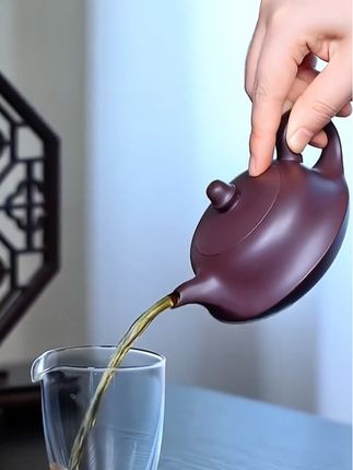 宜兴正宗原矿老紫泥手工大容量网孔一帆顺风壶#宜兴紫砂壶 #紫砂壶#原矿紫砂 #茶壶#茶生活