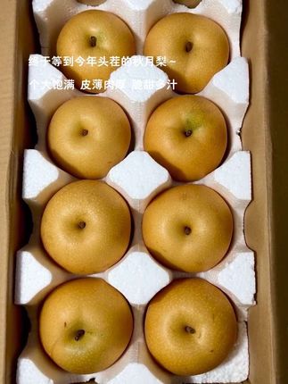 #秋月梨 #新鲜采摘 #强烈推荐 #应季水果 #脆甜多汁