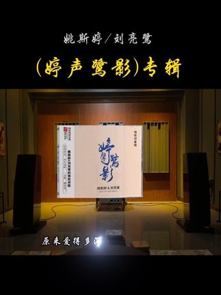 #发烧音响 #发烧音乐 #发烧友 试听随缘