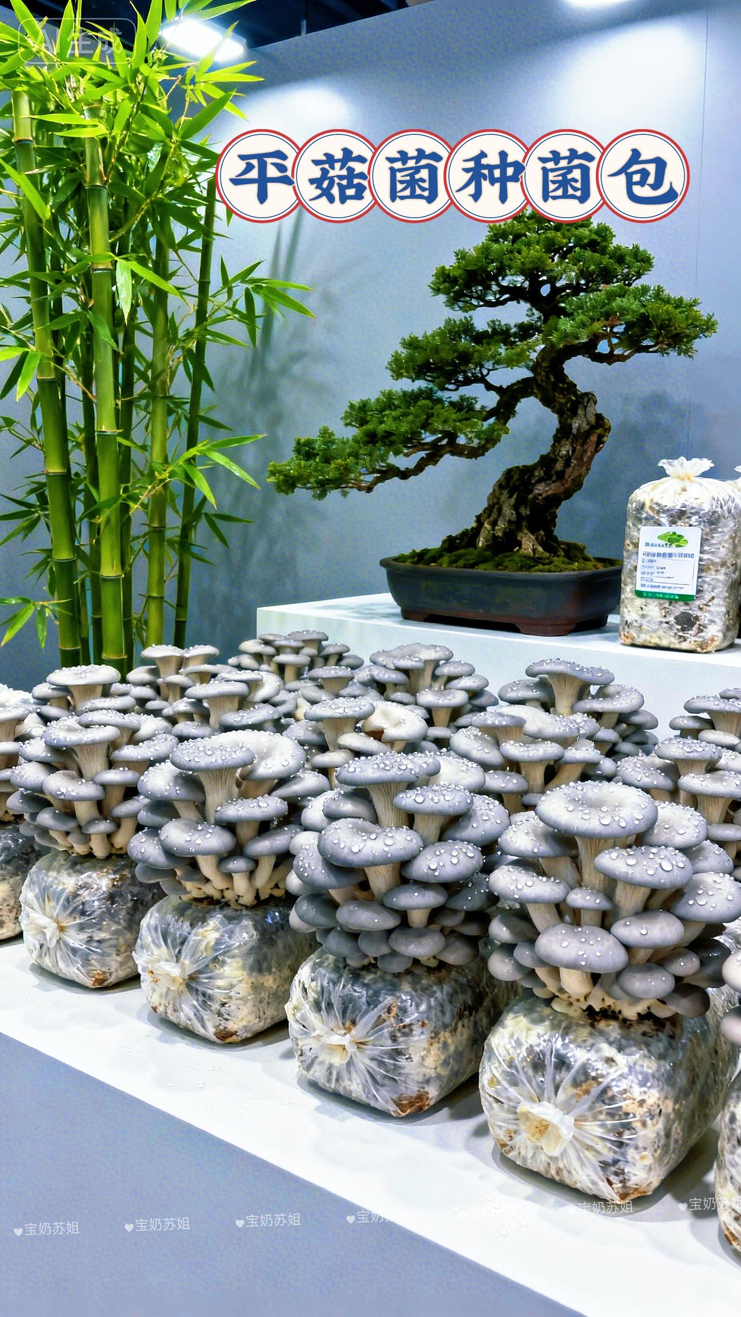 平菇菌包,轻松种出鲜美蘑菇。超棒的平菇菌种菌包来啦!操作超简单,划口喷水就行,新手也能秒变种植达人。放在阳台、客厅都可以,几天就能看到平菇冒头,满满成就感。种出的平菇鲜嫩可口,清炒、煲汤超美味,无农药更健康。还能和孩子一起见证生长,是超棒的亲子互动。快来下单,享受种植与美食的双重快乐! #平菇菌包 #家庭种植 #亲子互动 #新鲜食材 #种植乐趣