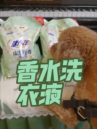 第一次用,真的惊讶到我了,连难闻的狐臭味都洗的干净,无添加,山茶花特别好闻#活力28洗衣液 #洗衣粉 #国货精品