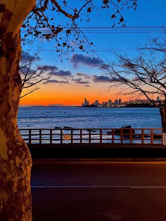 快快快,正宗广西八角上市了,无熏硫,做菜放一颗味道特别香!#八角 #广西八角 #厨房调味品 #香料 #大红八角