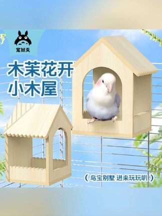 虎皮鹦鹉小木屋繁殖箱鸟窝巢实木孵化居住保暖鸟箱牡丹文鸟生蛋窝#虎皮鹦鹉 #鹦鹉鹦鹉萌萌哒逗鹦鹉 #鹦鹉木屋 #鸟窝 #鹦鹉鸟窝