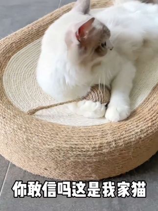 剑麻猫抓盆、它即是猫抓板又是猫窝,弧形下线的设计更加贴合猫咪身体曲线,久睡也不累!#萌宠出道计划 #科学养宠攻略#萌到爆炸了💥 #剑麻猫抓盆