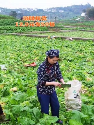 涪陵榨菜来活动啦!12块9发50包,抢到就是赚到!