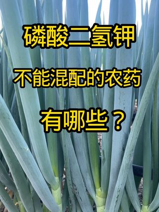 #农业种植 #三农 磷酸二氢钾不能混配的农药有哪些