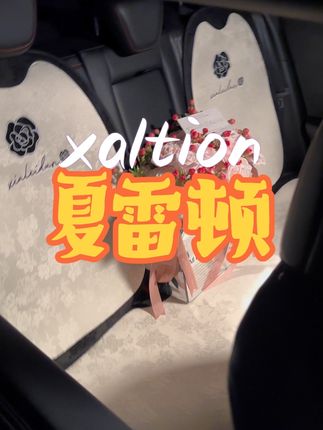 这套汽车坐垫真的美呆了!🚗🚗 #车载汽车用品 #汽车好物 #汽车内饰用品 #汽车坐垫 #车用好物