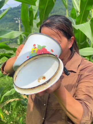 喝余庆小叶苦丁茶叶#产地发货