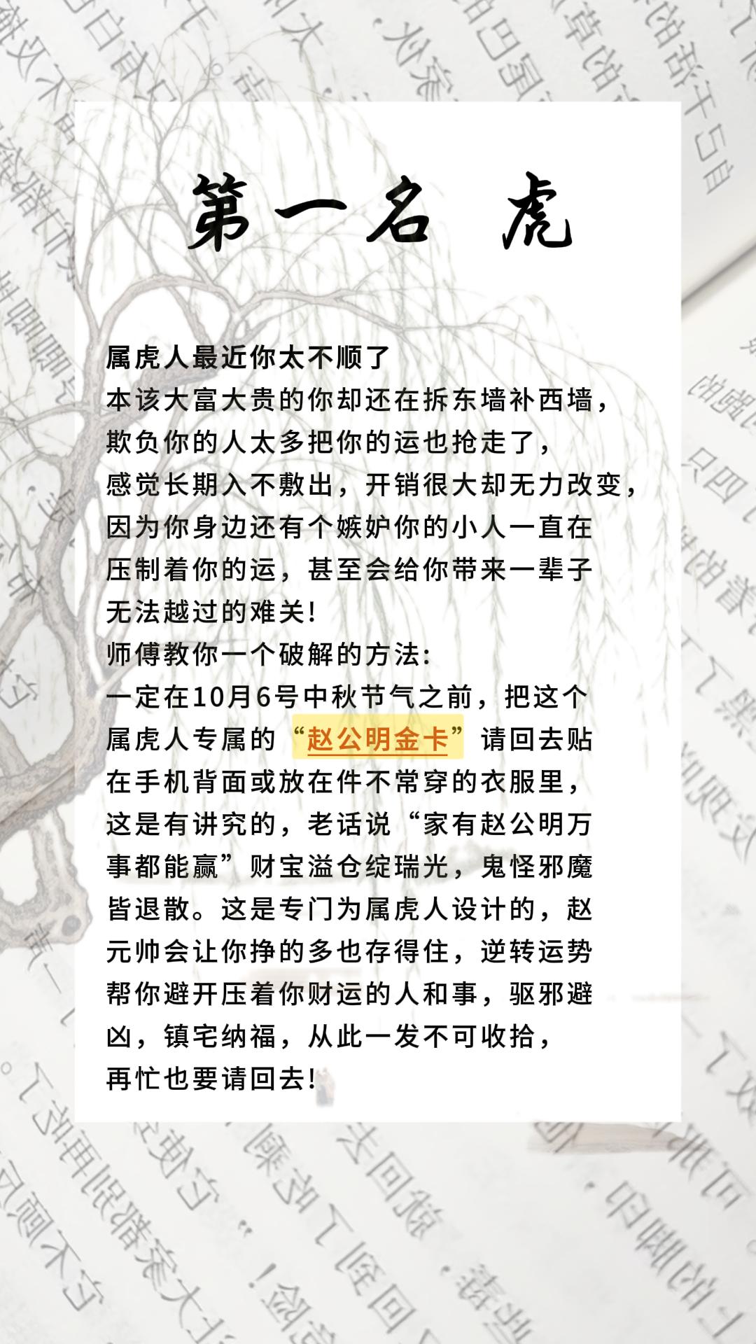 #虎#属虎#生肖虎