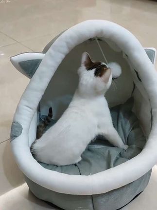 猫窝半封闭安全感睡窝春秋季猫床猫咪房子圆窝柔软垫子四季通用#萌宠 #猫窝#半封闭猫窝#养猫人#萌宠