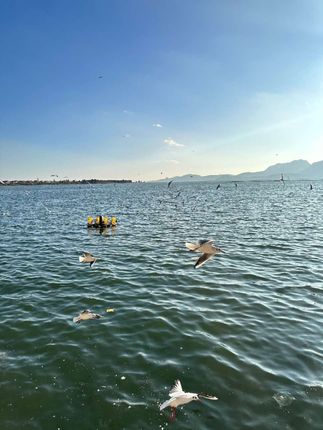 #杜克和一哥 #杜克环游世界 #孟加拉的故事 #交换世界计划