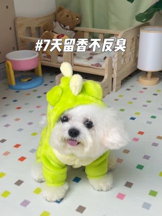 用完里兜的这个沐浴露,我怕你会忍不住狂吸小狗7天!淡淡的瓜果清香,还能除螨抑菌,真的超好用#养狗经验分享 #宠物洗澡 #宠物用品 #宠物沐浴露 #狗狗洗澡