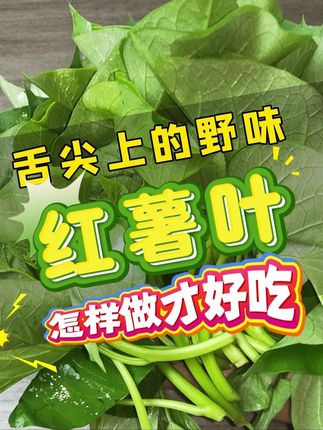 炎炎夏日里红薯叶作为一道爽口菜,怎么做才好吃呢?#红薯叶 #红薯叶窝窝头 #红薯叶做法 #红薯叶菜馍 #红薯叶蒸菜
