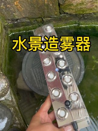 #鱼池假山 #庭院鱼池 #养鱼日记 #庭院景观 #锦鲤鱼池