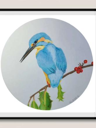 再画翠鸟,记录自己点滴进步~~