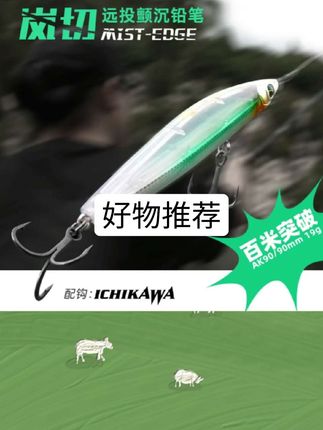 AKFS/爱克飞丝AK岚切沉水铅笔路亚饵超远投铅笔翘嘴海鲈假饵#户外钓鱼 #渔具用品 #快来看看