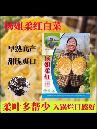 杨姐柔红大白菜种子早熟黄心包头白菜种子柔叶多帮少#强烈推荐 #绿色蔬菜 #农产品 #抖音新农人 #好物推荐🔥 @DOU+小助手 @DOU+好生意