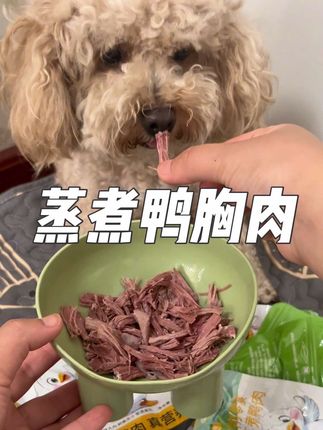 养狗人快来薅9块9到手10包的鸭胸肉,不仅清热下火还能缓解泪痕!猫咪狗狗都爱吃!趁活动可以多囤!#家有馋狗 #养狗经验分享 #萌宠好物 #宠物鸭胸肉#超便宜超划算
