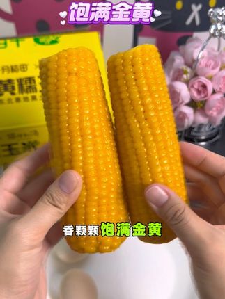 #十月稻田黄糯玉米 别错过这个黄糯玉米啦,软糯香甜太好吃了,拿来当早餐或者主食都很不错#主食 #黄糯玉米