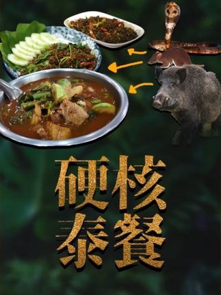 源自山林的硬核菜系——泰国丛林菜【鲲爵士趣食小传】 #美食故事 #涨知识 #泰餐 #瓜子二手车 #舌尖上的抖音
