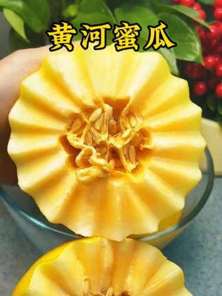 民勤沙漠黄河蜜瓜,又脆又甜又多汁#快来一起尝个鲜 #口感特别好 #黄河蜜瓜 #沙漠蜜瓜 #民勤蜜瓜