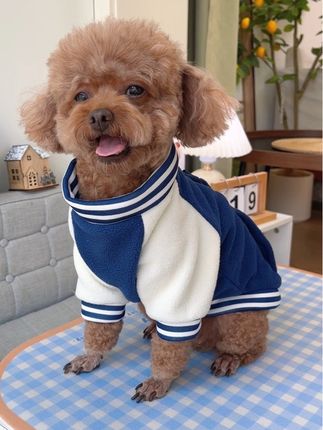 狗狗也有可爱的棒球服穿了,摇粒绒的料子暖和舒适,穿上太好看了#萌宠好物#狗狗衣服#猫猫衣服