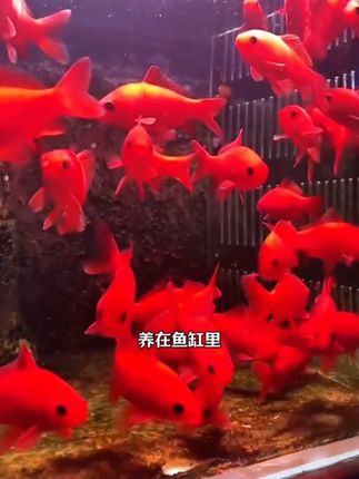 不要和妈妈顶嘴,没有妈妈哪来的家 #家长教育 #妈妈的世界很小里面装满了你 #家庭教育 #正确引导教育孩子陪伴孩子 #育儿教育